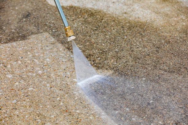 Best Sidewalk and Walkway Cleaning  in Black Forest, CO