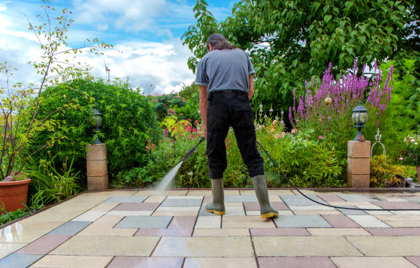 Best Restaurant Pressure Washing  in Black Forest, CO